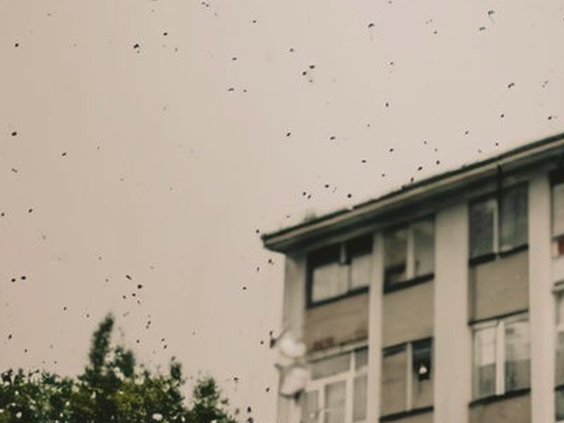 成化十四年